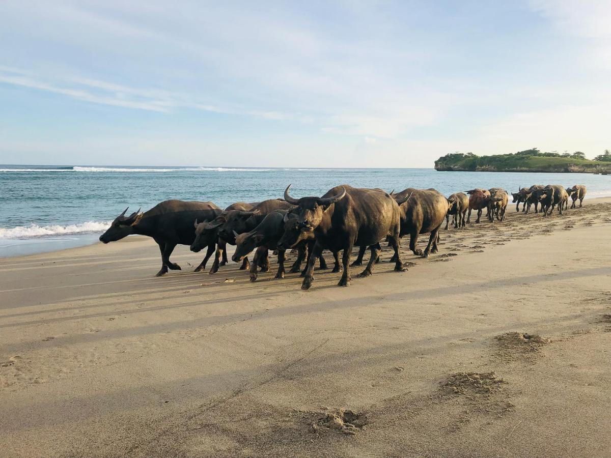 Sumba Beach House Waikabubak Dış mekan fotoğraf